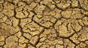 Lee más sobre el artículo PSOE denuncia el anuncio de las medidas contra la sequía en Castilla La Mancha sin presupuesto